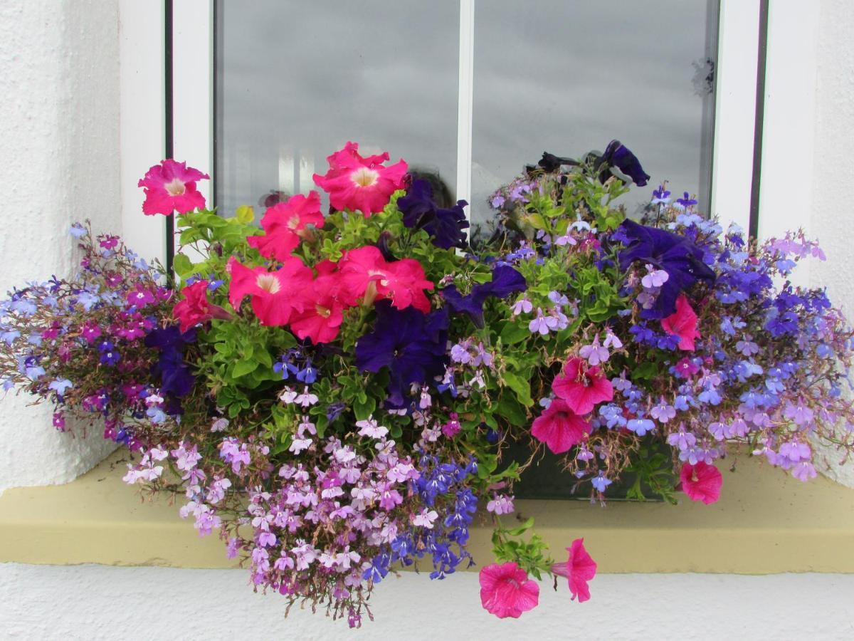 Breacan Cottage B&B Kinvara Exterior foto