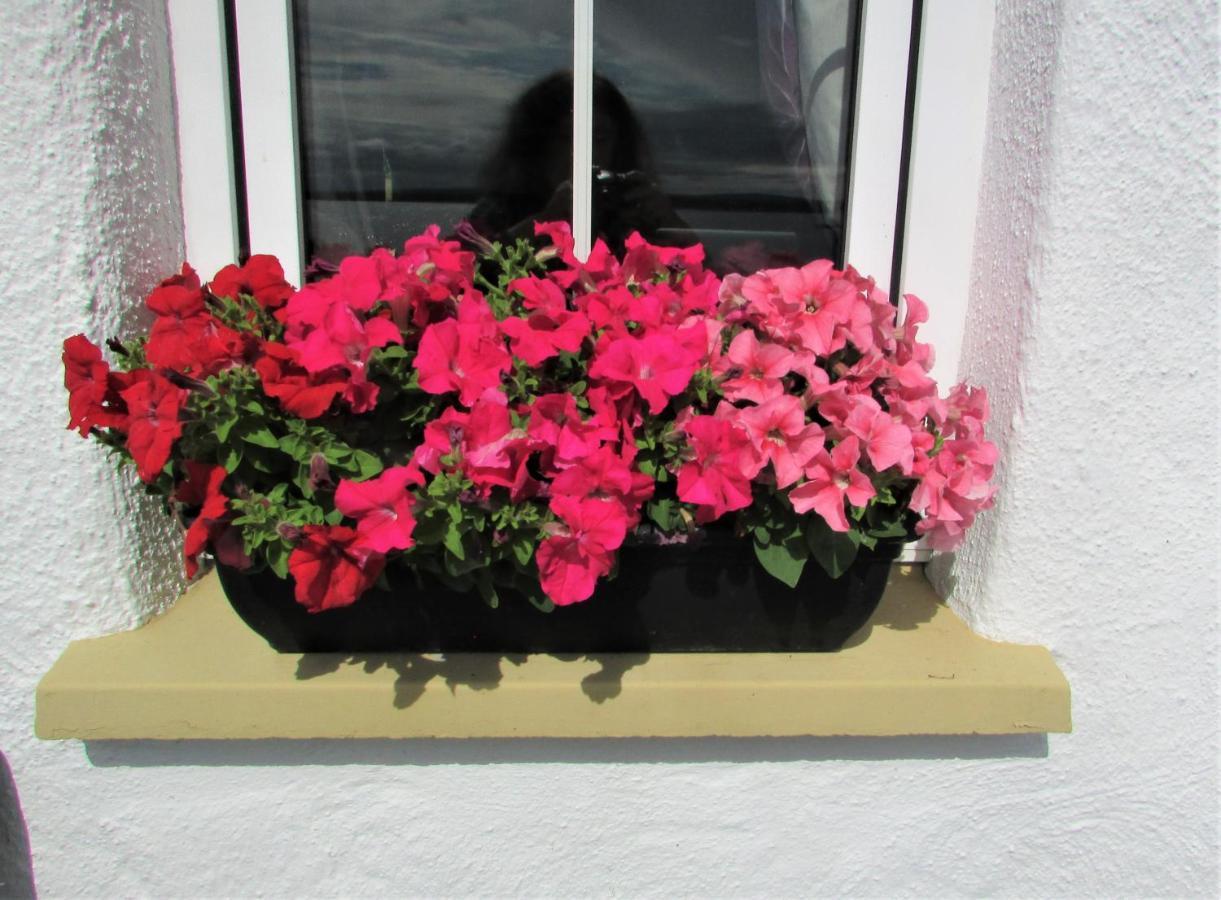 Breacan Cottage B&B Kinvara Exterior foto